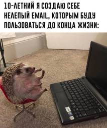 7664