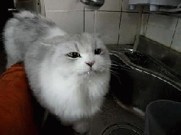 7735